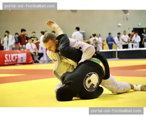 “最后的气宗”瑞安·霍尔宣布从综合格斗退役,将专注于柔术教学 “最后的气宗”瑞安·霍尔宣布从综合格斗退役,将专注于柔术教学