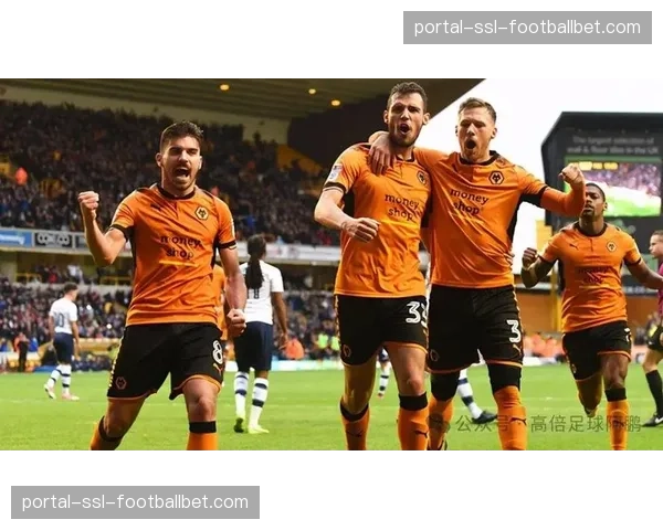 中资球队的英超生存之道：狼队依靠务实的低位防守，应对联赛高压潮流